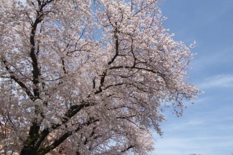 P1050901